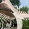 Dino Land garut