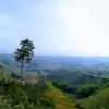 wisata alam majalengka