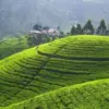 wisata murah di majalengka