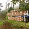 bukit mercury sayang kaak
