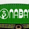 daftar online pt nabati majalengka