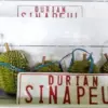 durian sinapeul majalengka