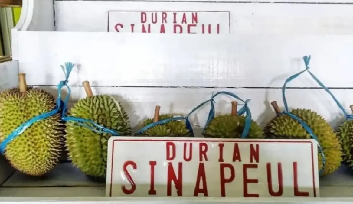 durian sinapeul majalengka