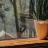kafe kekinian di majalengka