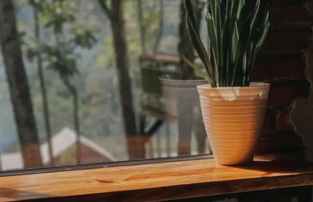 kafe kekinian di majalengka