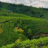 wisata majalengka murah meriah