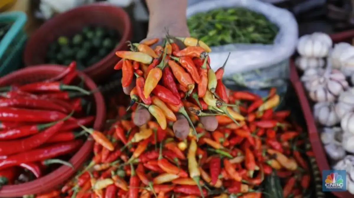 Harga Pangan 10 Desember 2025 Kian Meroket: Cabai Rawit, Bawang, dan Beras Jelang Nataru cek harga cabai hari ini