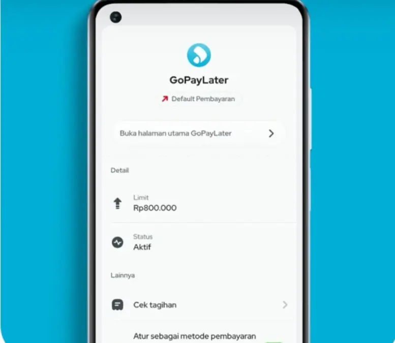 Gopay Later Tiba-Tiba Diblokir? Jangan Panik, Ini Penyebab dan Solusinya Penyebab Gopay Later diblokir